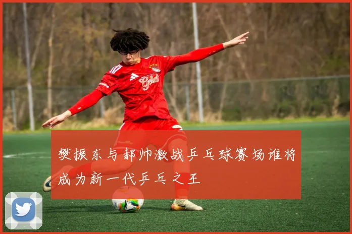 樊振东与郝帅激战乒乓球赛场谁将成为新一代乒乓之王